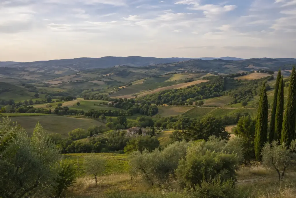 Discover the area