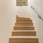 All 31